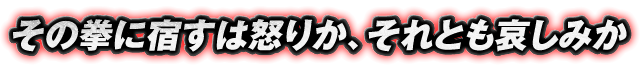 その拳に宿すは怒りか、それとも哀しみか